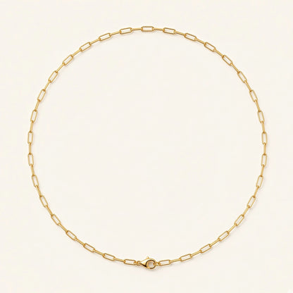 Denoon London paperclip chain necklace, gold-tone, flat lay